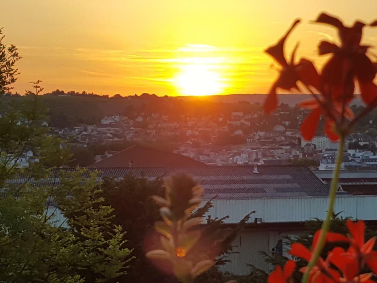 La Villa Geiss 에페르네이 외부 사진